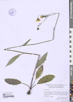 LE 01330272