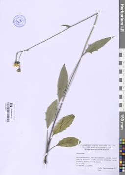 LE 01330275