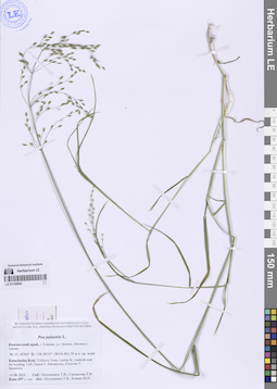LE 01336662