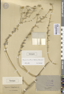 LE 01312501