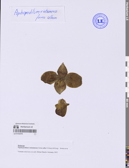 LE 01332379
