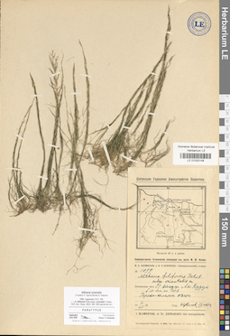 LE 01032148