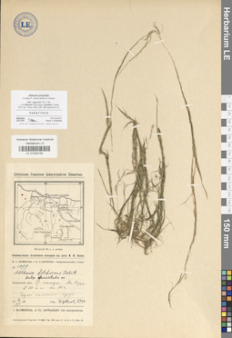 LE 01032150