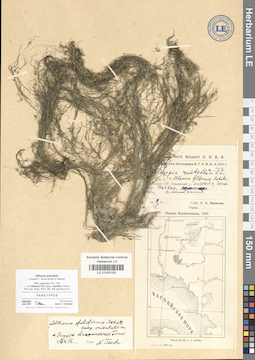 LE 01032153