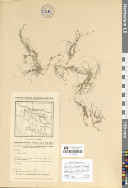 LE 01047378