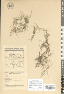 LE 01047380