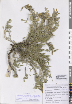 LE 01336961