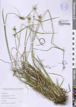 LE 01310408