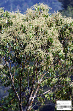 LE 01360999
