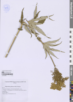 LE 01337348