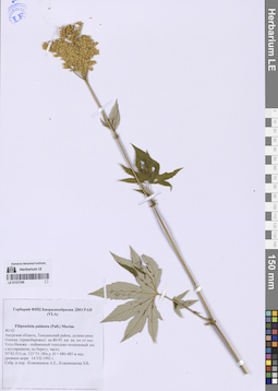 LE 01337349