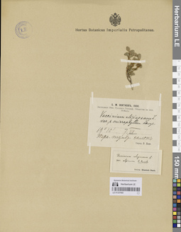 LE 01337400