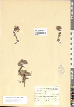 LE 01284372
