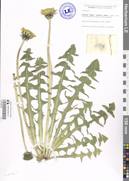 LE 01203158
