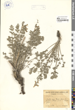 LE 01302759