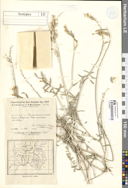 LE 01299322