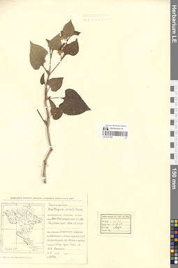 LE 01277281