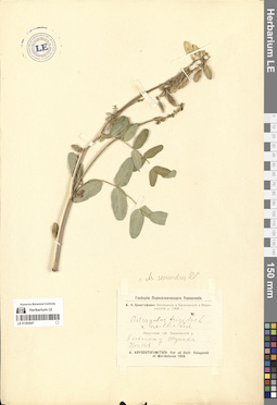 LE 01302947