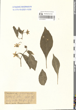LE 01167615
